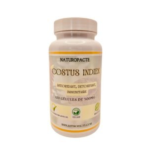 Costus Indien - Pot de 120 Gélules Végétales