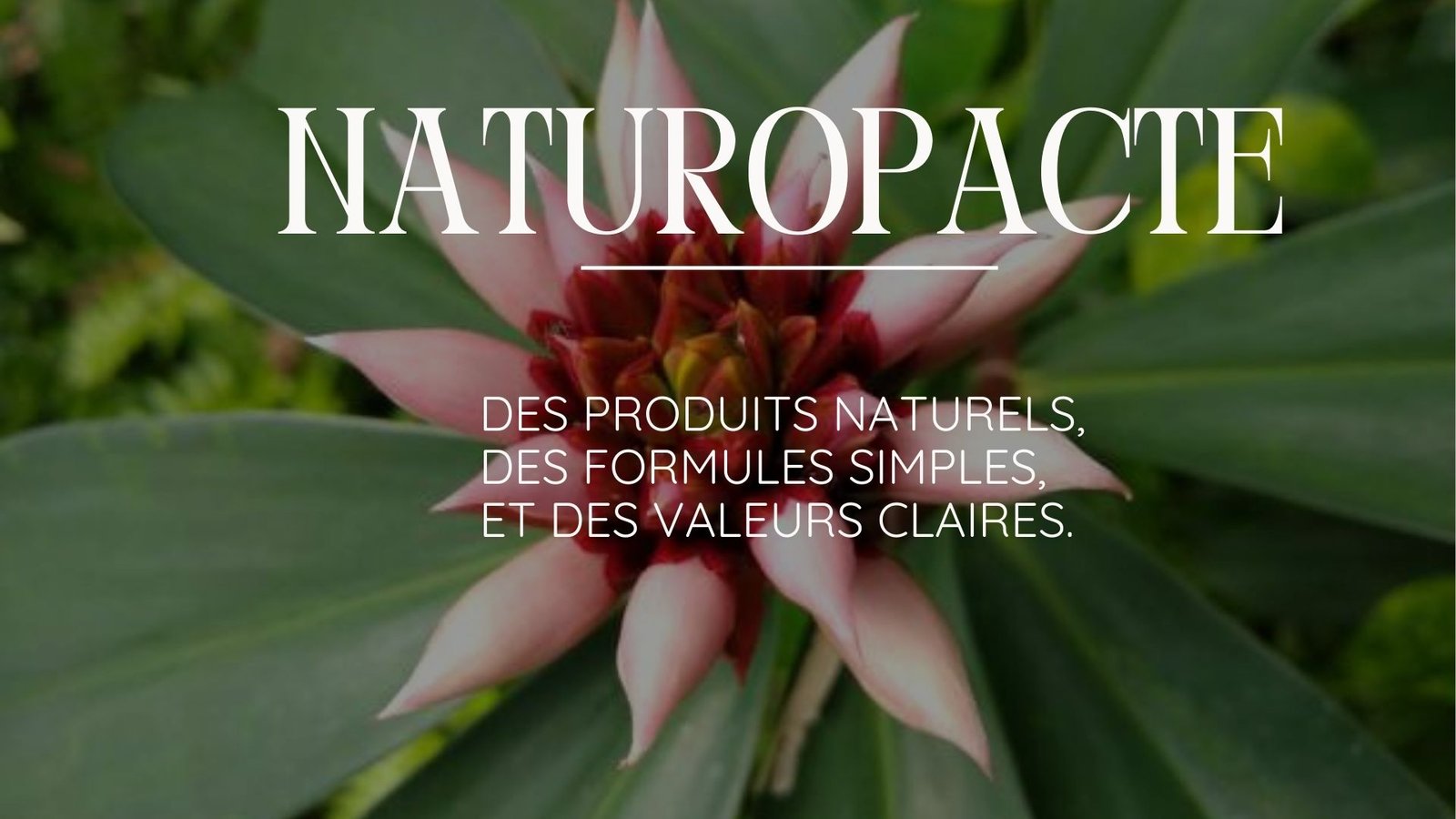 Photo Accueil Naturopacte