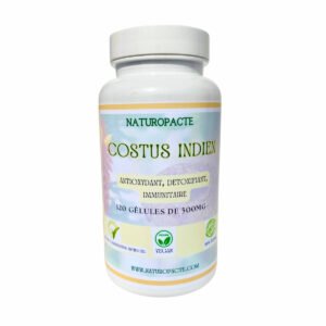 Costus Indien en gélules 500 mg – complément alimentaire naturel purifiant, digestif et immunomodulant, 120 gélules végétales
