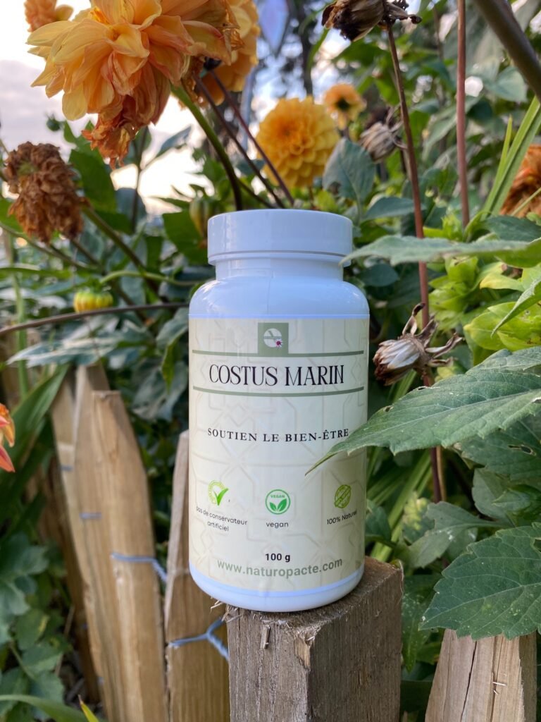Complément Costus Marin Naturopacte photographié parmi des fleurs, illustrant la qualité, la pureté et l’engagement naturel de la marque.