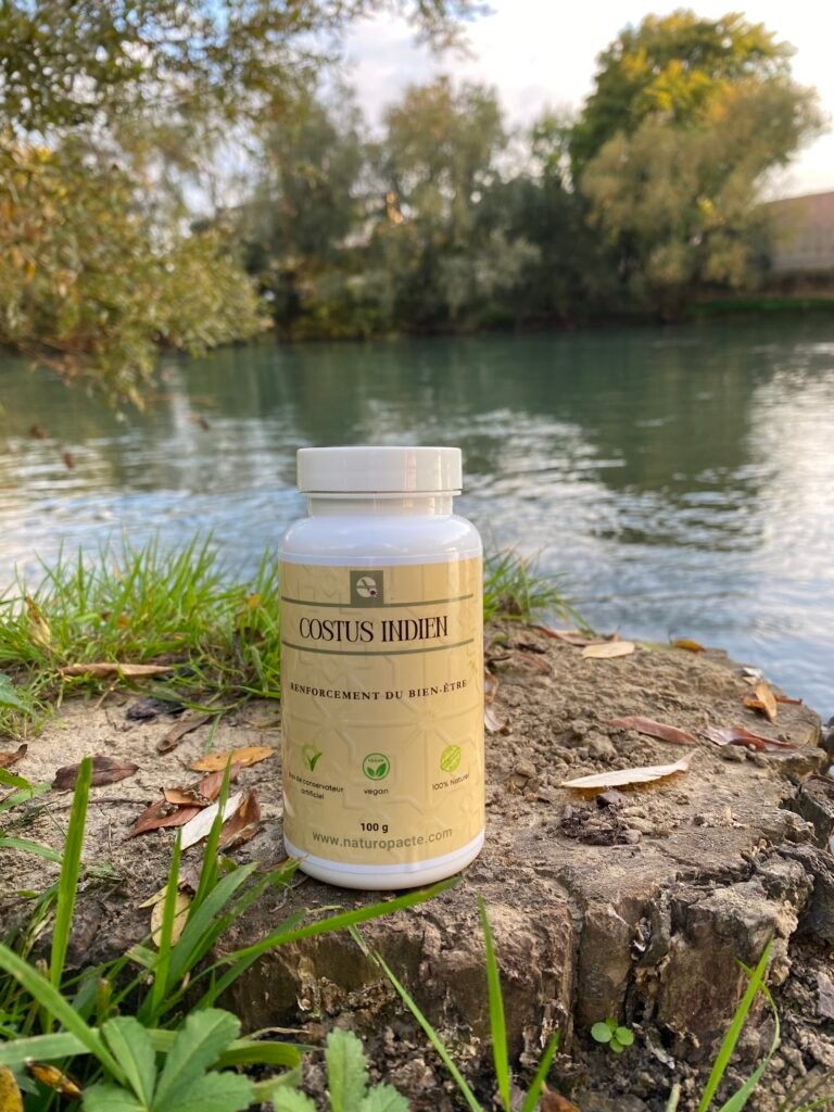 Flacon de Costus Indien Naturopacte posé dans un décor naturel, représentant une production écoresponsable et respectueuse de la nature.